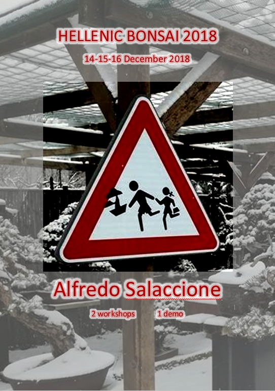 alfredo afisahb2018