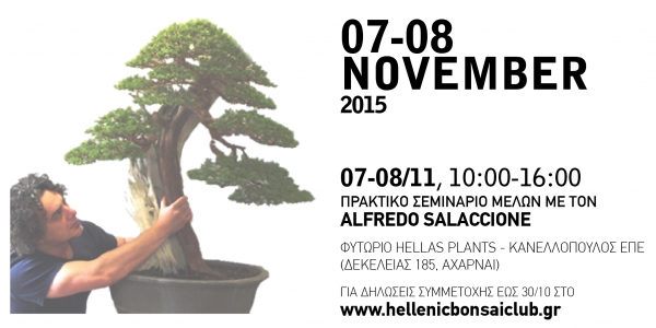 Hellenic Bonsai 2015 - Mediterraneo